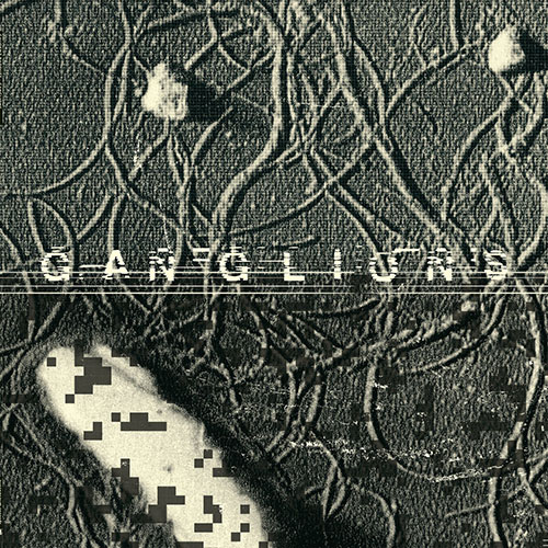Gaudenz Badrutt: Ganglions LP